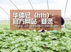 种植基地三