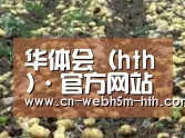 种植基地七