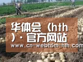 种植基地八