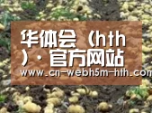 种植基地八(图1)