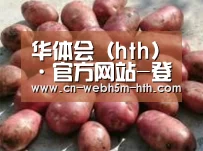 产品展示标题5