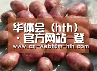 产品展示标题5(图1)