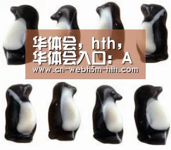 华体会，hth，华体会入口