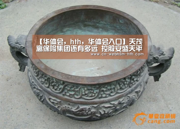 华体会，hth，华体会入口