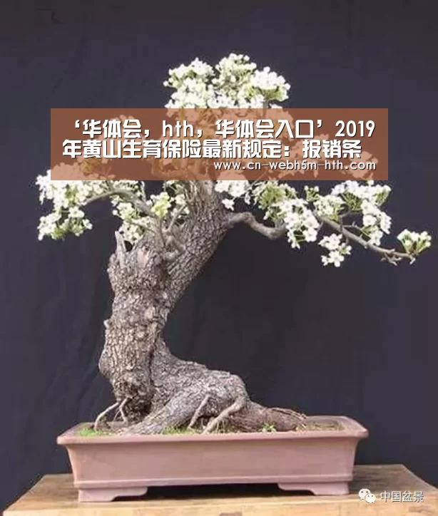 华体会，hth，华体会入口