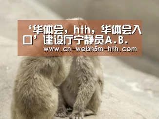华体会，hth，华体会入口